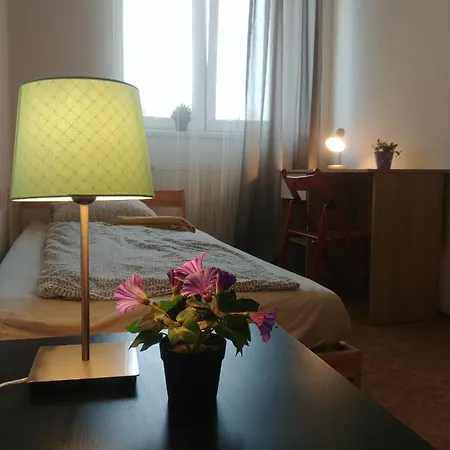 Big Apartman In The Center Apartment