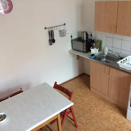 Apartment Big Apartman In The Center *
