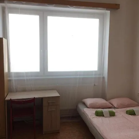 Big Apartman In The Center Apartment Brno